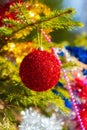 Beautiful shining red Christmas ball hanging on branch of Xmas pine tree Royalty Free Stock Photo