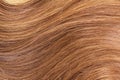 Beautiful shiny brown hair close-up. Texture. Royalty Free Stock Photo