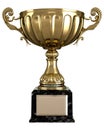 Beautiful shiny golden trophy Royalty Free Stock Photo