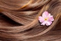 Beautiful shiny hair texture with a flower Royalty Free Stock Photo