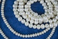 Beautiful white pearl necklaces close up on blue floor Royalty Free Stock Photo