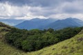 Beautiful shola forest from Ponmudy, Kerala, India