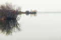 Beautiful shore of lake in early spring in misty morning