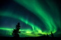 Beautiful shot of the aurora borealis, Dawson City, Yukon, Canada