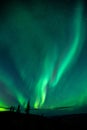 Beautiful shot of aurora borealis, Dawson City, Yukon, Canada