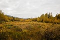 Beautiful shot of autumn mountain landscape in Alaska Royalty Free Stock Photo