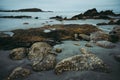 Beautiful shot of a beach at low tide with wet rocks in the foreground taken on a cloudy winter day in Cape Fouldwind, New Zealand Royalty Free Stock Photo