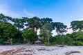 Forest Neil Island Andaman