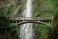 Beautiful shot of the Benson Bridge over Multnomah Falls during the day Royalty Free Stock Photo