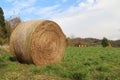 Beautiful shot of a big roll of hay on the green grass of the field under a cloudy sky Royalty Free Stock Photo