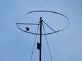 Beautiful Shot Of A Bird Perching On Circle Antenna On A Blue Sky Background