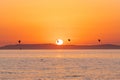 Beautiful shot of birds flying over the sea during sunset Royalty Free Stock Photo