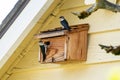 Beautiful shot of birds perched on a wooden birdhouse Royalty Free Stock Photo