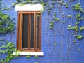 Beautiful shot of a blue building wall with a decorative plant Royalty Free Stock Photo