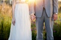 Beautiful shot of the bride and the groom holding hands with a blurred background Royalty Free Stock Photo