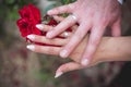 Beautiful shot of the bride and the groom holding hands at a wedding ceremony Royalty Free Stock Photo