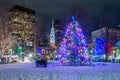 Beautiful shot of the Christmas tree in Boston at night