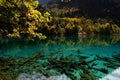 Beautiful shot of a clear lake surrounded by trees at the Jiuzhaigou National Park in China Royalty Free Stock Photo