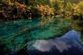 Beautiful shot of a clear lake surrounded by trees at the Jiuzhaigou National Park in China Royalty Free Stock Photo