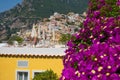 Beautiful shot of the cliffside village Positano with colorful buildings and purple flowers