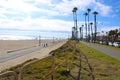 a beautiful shot of the coastline at the beach with lush green palm trees and blue sky with majestic clouds Royalty Free Stock Photo