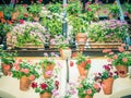 Beautiful shot of colorful hanging potted flowers on a balcony Royalty Free Stock Photo