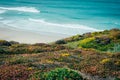 Beautiful shot of colourful flower field at the beach Royalty Free Stock Photo