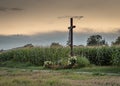Beautiful shot of a  cross in a beautiful landscape on a sunset background Royalty Free Stock Photo