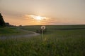 Beautiful shot of dandelion in the field with a sunset background Royalty Free Stock Photo