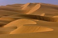 Beautiful shot of a desert during the day in Nambia