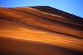 Beautiful shot of a desert during the day in Nambia