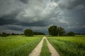 A beautiful shot of a dirt road between green rural fields, stormy clouds on the sky, summer country landscape Royalty Free Stock Photo