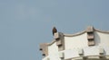 Beautiful shot of an eagle on the roof of an old building with the blue sky in the background Royalty Free Stock Photo