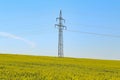 Beautiful shot of an electrical pylon tower in the middle of a meadow Royalty Free Stock Photo