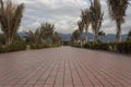 Beautiful shot of a evening park in middle of bogota city