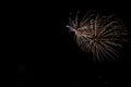 Beautiful shot of exploding colorful fireworks on a black night sky background Royalty Free Stock Photo