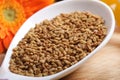 Fenugreek seeds Royalty Free Stock Photo