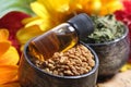 Fenugreek seeds and oil Royalty Free Stock Photo