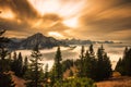 Beautiful shot of fields and trees with a foggy mountain view during sunset