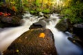 Beautiful shot of the flowing rocky McGillvary Falls in Whiteshell Provincial Park, Manitoba Royalty Free Stock Photo