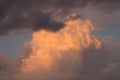 Beautiful shot of fluffy sunset clouds in a sky Royalty Free Stock Photo