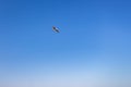 Beautiful shot of of flying seagull above the clear blue sky Royalty Free Stock Photo