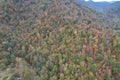 Beautiful shot of a forest in autumn in West Virginia