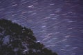 Beautiful shot of Geminids meteor shower seen behind a tree at night at Pantanal Biopark