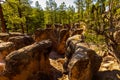 Beautiful shot of Goblin Colony rock formation in Jemez mountains New Mexico