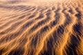 Beautiful shot of golden desert sand ripple patterns in a desert Royalty Free Stock Photo