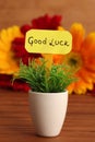 Good luck