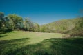 Beautiful shot of a green field with a forest on the background Royalty Free Stock Photo