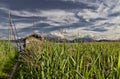 Beautiful shot of a green field with a house a lake and mountains on the background Royalty Free Stock Photo