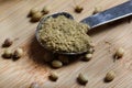 Grinded coriander spice Royalty Free Stock Photo